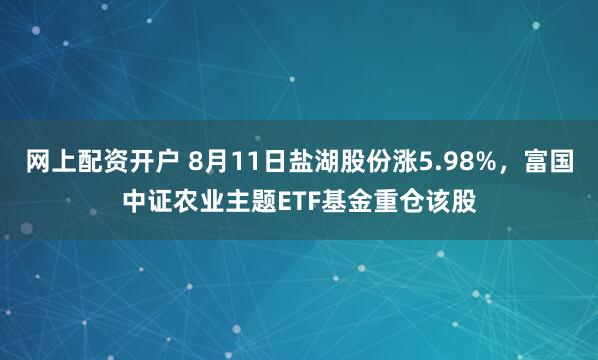 网上配资开户 8月11日盐湖股份涨5.98%，富国中证农业主题ETF基金重仓该股